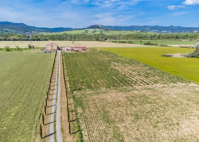 Gaudium By Interhome * Guardistallo